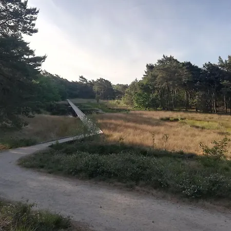 To Rent With Own Entrance, Living And Bathroom