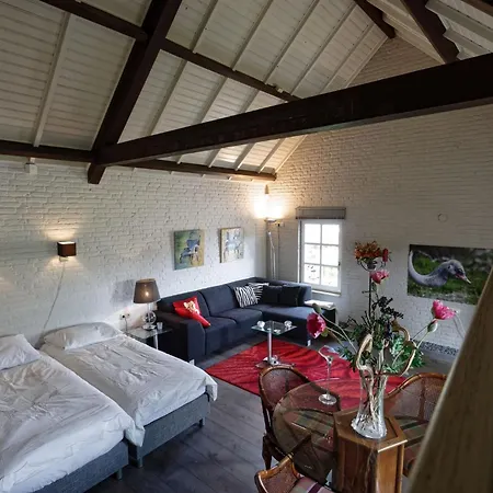 To Rent With Own Entrance, Living And Bathroom *