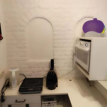 To Rent With Own Entrance, Living And Bathroom Maison d'hôtes *