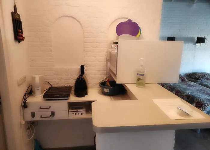 Гостевой дом To Rent With Own Entrance, Living And Bathroom 3*