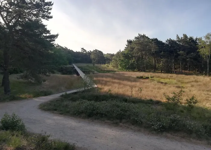 To Rent With Own Entrance, Living And Bathroom