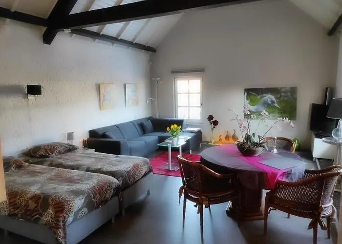 To Rent With Own Entrance, Living And Bathroom