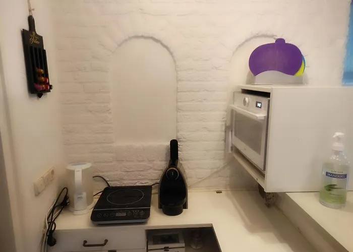 To Rent With Own Entrance, Living And Bathroom Pensión 3*